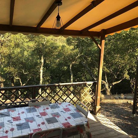 Camping De Parpaillon Roquebrune-sur-Argens Eksteriør billede