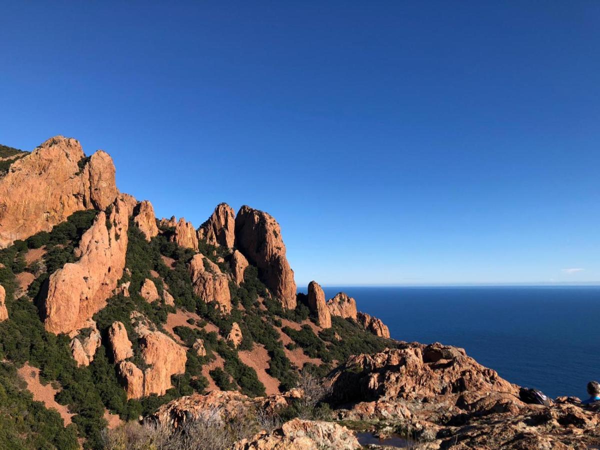 Camping De Parpaillon Roquebrune-sur-Argens Eksteriør billede