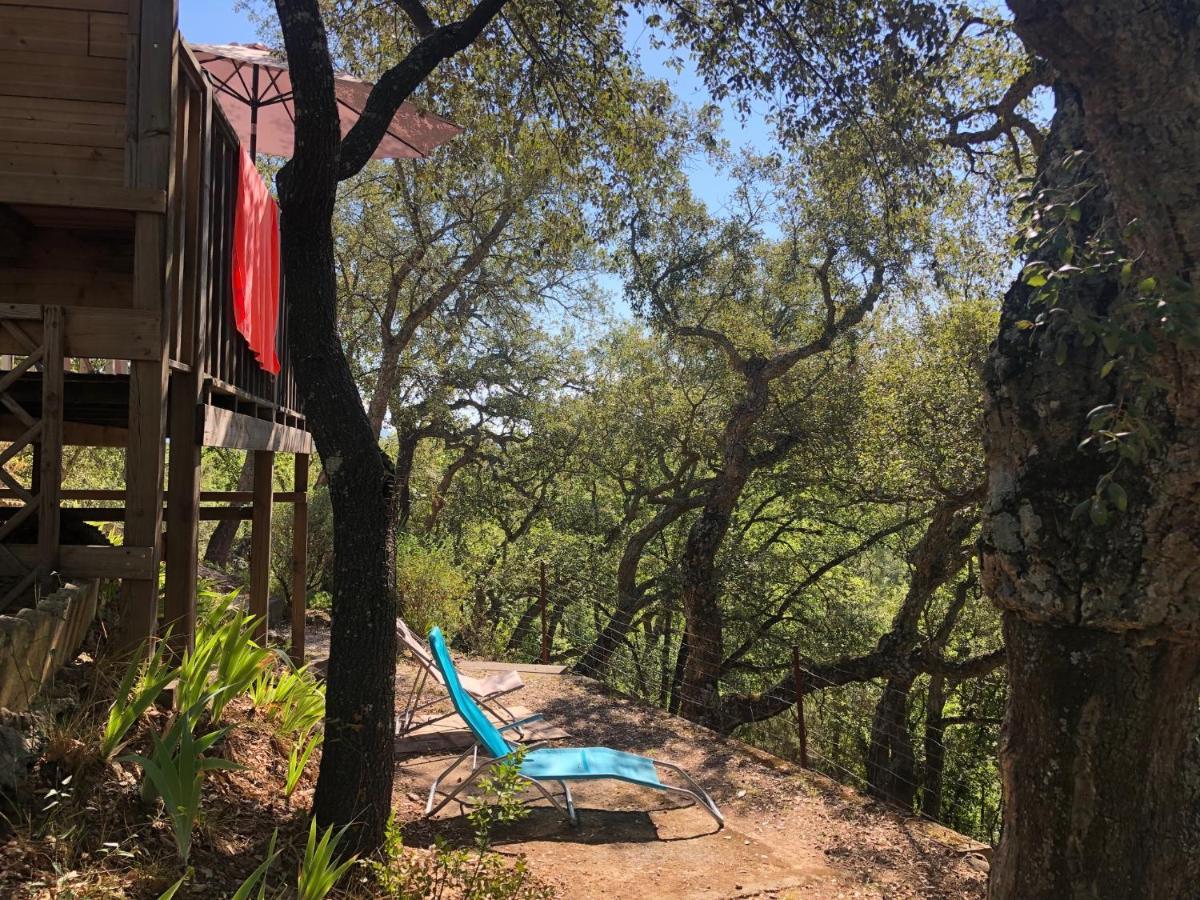 Camping De Parpaillon Roquebrune-sur-Argens Eksteriør billede